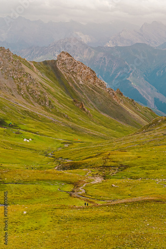 Photo from the back of hikers walking on green grasslands in the Tianshan Mountains in Xinjiang, China. There is snow on the peak with copy space on top. Idea for adventure activity wallpaper.