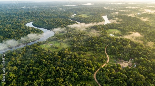 Vast Green Rainforest Canopy With Winding River At Sunrise Golden Hour Light Misty Atmosphere Aerial View