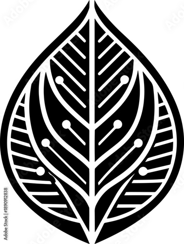 A vintage style black and white illustration of three tea or mint leaves. Vector Illustration