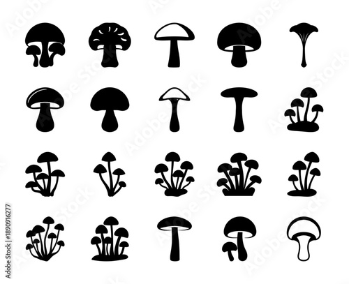 Detailed vector illustration set of various wild mushroom silhouettes, perfect for nature, food, or fantasy designs, isolated on a clean white background.