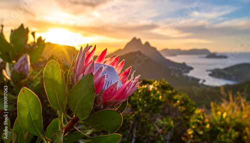 Wallpaper Mural Pink flower against sunset island scenery Torontodigital.ca