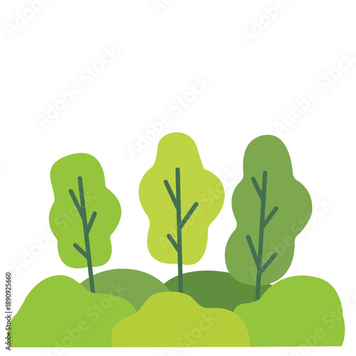 trees, forest, nature, natural, green, ecofriendly, environment, ecology, sustainable, sustainability, conservation, preservation, biodiversity, habitat, wildlife, ecosystem, oxygen, air, climate