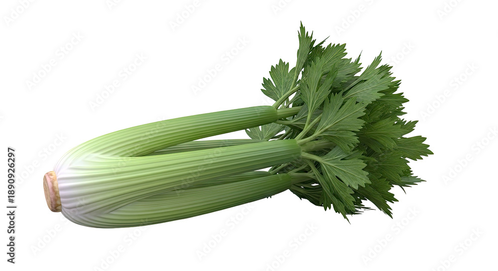 Fototapeta premium Fresh Celery Stalks with Green Leaves