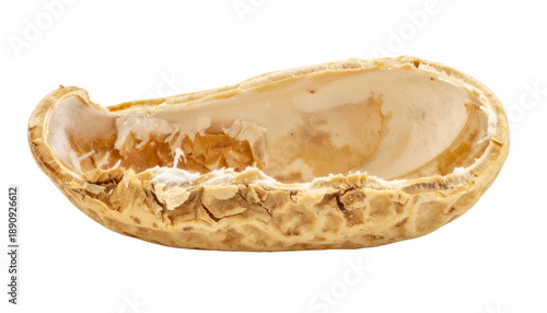 Close-up of an empty, split peanut shell, showing the textured exterior and smooth interior