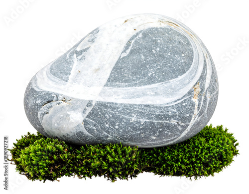 Wallpaper Mural Smooth gray stone with white swirls, sits on green moss Torontodigital.ca