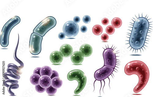 Realistic Bacteria and Microorganism Vector Illustration Set Showing Diverse Pathogen Shapes for Medical Research, Microbiology Education, and Healthcare Design Projects