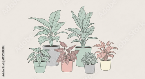 Collection of diverse potted plants in various pastel colored pots on a neutral background for decoration