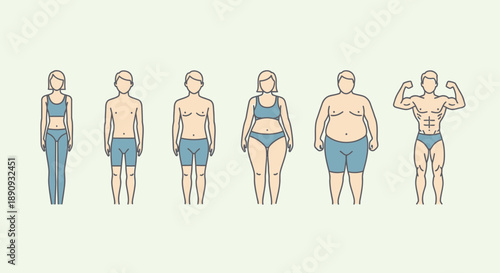 Comparative visual of human body types, presenting a spectrum from slender, average, and overweight to muscular figures, representing varied fitness and health conditions