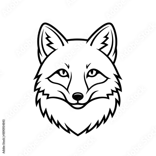 Line art illustration of a arctic fox head with detailed features and expressive eyes