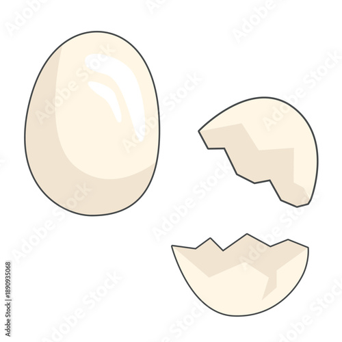 Illustration of a whole egg alongside two halves of a cracked eggshell on a plain background. Detailed illustration with fine line work and artistic details on clean white background, suitable for
