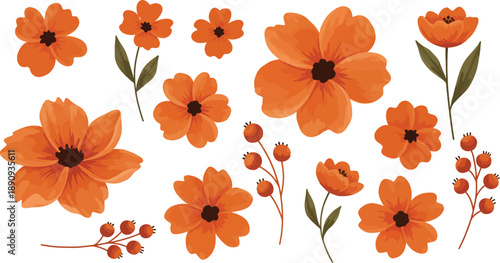 Vibrant orange flowers and buds on stems with green leaves on white background