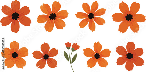 Vibrant orange flowers on white background illustration
