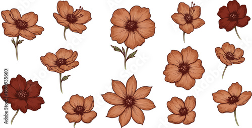 Collection of orange and red flowers on white background
