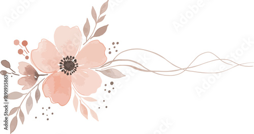 Beautiful peach colored flower with leaves and stems on white background
