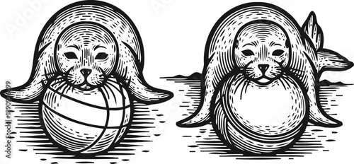 Vintage engraving seals playing with ball and sitting on coast illustration