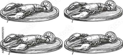 lobster with lemon slice on wooden plate black and white hand drawn illustration set
