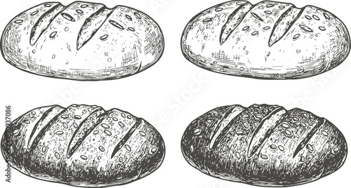 loaf of bread sketch in four styles artisan bakery food illustration black and white detailed drawing concept