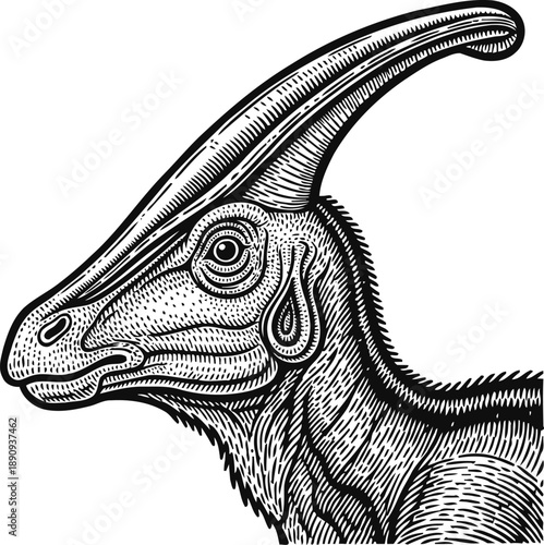 Detailed vintage illustration of parasaurolophus dinosaur head with crest and textured skin