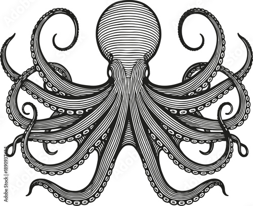 Intricate octopus illustration with swirling tentacles and detailed line art in black and white