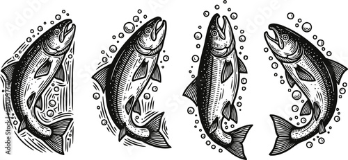 vintage fish illustrations set with bubbles hand drawn aquatic wildlife sketches in black and white