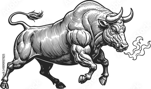 Muscular aggressive bull charging with steam from nostrils, vintage engraved farming animal illustration