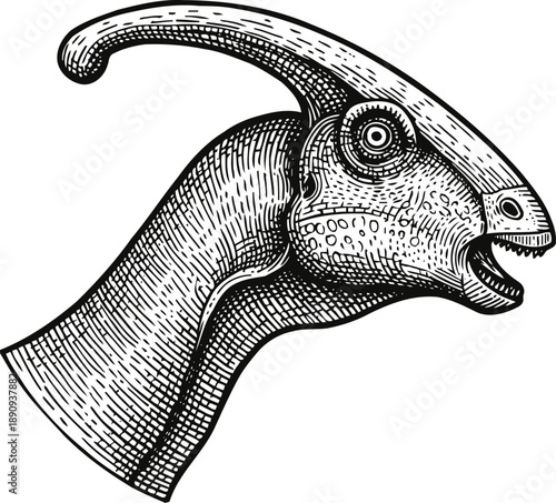 Parasaurolophus dinosaur head illustration prehistoric reptile with crest, extinct animal sketch, wildlife design