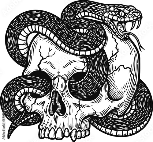 Black and white illustration of a fierce snake coiled around an aged cracked human skull