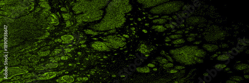 Grunge halftone overlay background with surreal motion fluid. Electric green color y2k aesthetics. Vector backdrop design template and creative projects