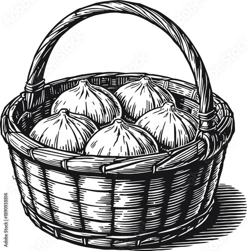 Basket of whole garlic bulbs in woven wicker basket with detailed hand drawing