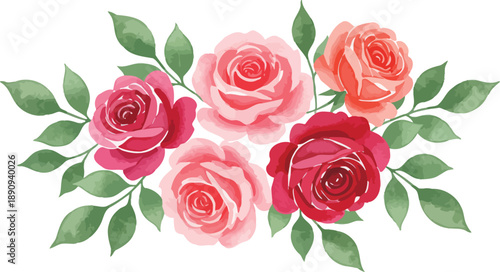 A bouquet of pink and red roses with green leaves on a white background