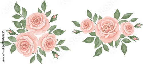 Pink roses with green leaves in floral arrangements on white background