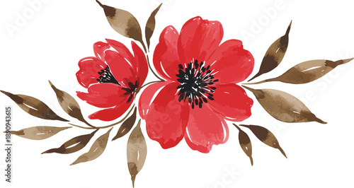 Two red flowers with brown leaves on white background