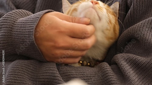 A ginger cat resting comfortably in a person’s arms while being gently petted, showing trust, affection, and a calm human–pet bond in a cozy indoor setting. Intimate moment and emotional connection