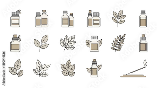 Hand drawn botanical jars and leaf elements illustration set featuring cosmetic bottles and herbal plants in a soft line art style.
