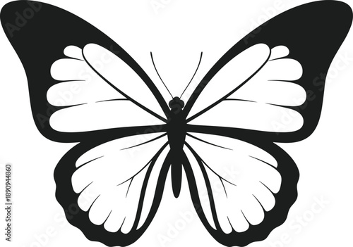 Black and white butterfly silhouette vector art with detailed wings and body insect