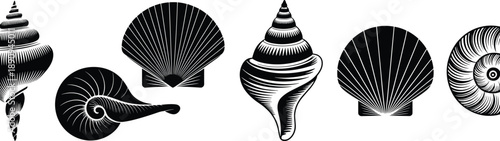 Seashell silhouette collection illustration, black white ocean shell icons, marine nature vector set, coastal beach design elements