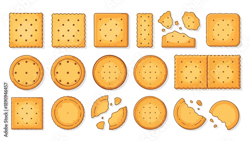 Assorted golden brown biscuits and crackers illustration set perfect for snack and bakery themes