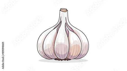 Stylized garlic bulb illustration, essential cooking ingredient, culinary element isolated on white background.