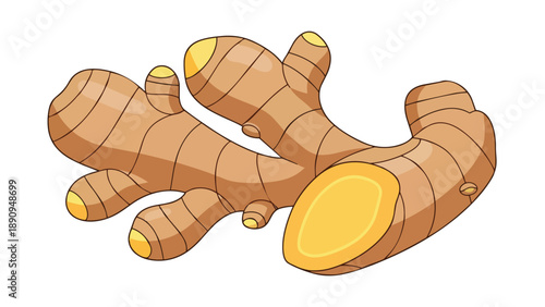 Fresh organic ginger root illustration for culinary and health applications featuring a peeled cross-section, ideal for food preparation and natural