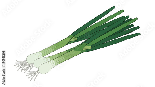 Fresh vibrant green onions for healthy cooking and culinary zest. A staple ingredient ready for various delicious recipes. Essential farm produce now.