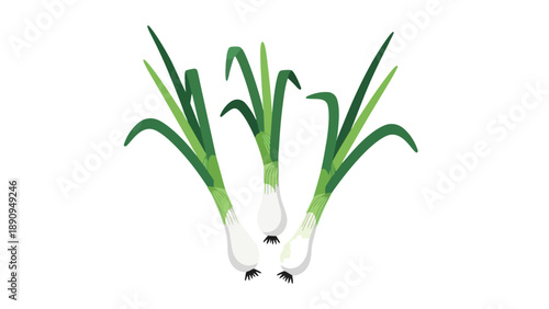 A vibrant trio of crisp green onions essential for enhancing culinary creations promoting healthy eating habits a daily kitchen staple food item