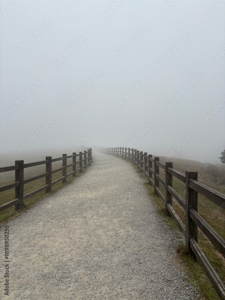 Fototapeta premium Tail in the mist