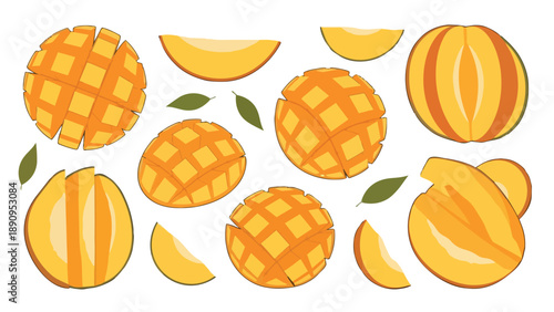 Sweet tropical mango fruit collection vector illustration with various slices and whole pieces