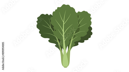 Lush green leafy vegetable illustration, a symbol of freshness, vital nutrition, and healthy living, ideal for culinary themes and organic food