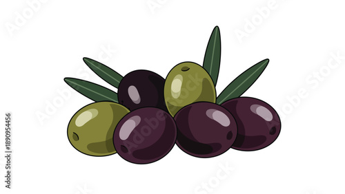 Vibrant Assortment of Freshly Harvested Olives with Green Leaves Illustration