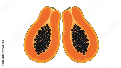 Freshly cut papaya halves illustration featuring vibrant orange flesh and abundant dark seeds presented on a clean white background for healthy food
