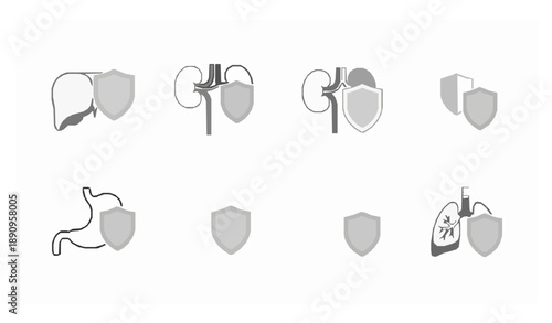 Outline Medical Shield and Organ Icons for Healthcare Safety and Disease Prevention Design