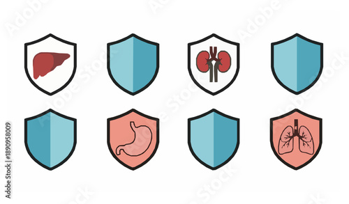 Medical Shield Icons with Internal Organs for Health Protection and Immunity Vector Set