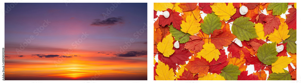 Fototapeta premium Autumn leaves and sunset sky social media thumbnail poster banner download 2026 2027 orange