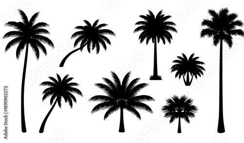 Black palm tree silhouette vector set isolated on white background